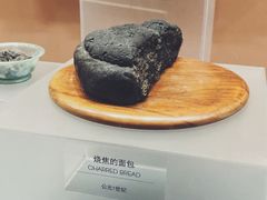 -盘龙城国家考古遗址公园