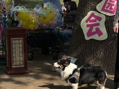 -天津燕园国际大酒店