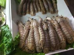 -明洞轩正统韩国自助烤肉大渡口店(新天泽国际广场店)