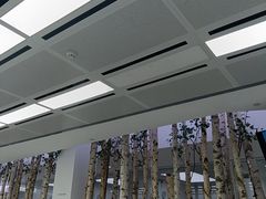 -极简口腔(总院)