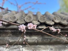 -三里河公园