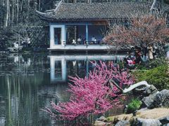 -杭州植物园