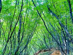 -北京密云天门山风景区