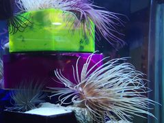 -太平洋海底世界