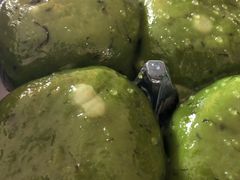 -王家沙点心店(万航渡路店)