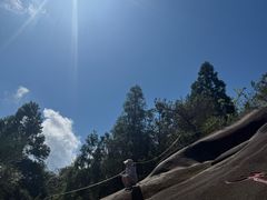 -玉苍山国家森林公园