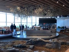 -Seesaw Coffee(朝阳大悦城店)