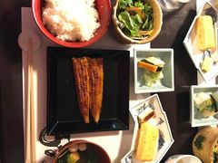 -料亭菊水楼
