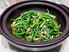 -孙大厨鸽子馆(休门店)