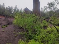 -峡谷浮石林景区