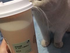 -喜茶(深圳福田星河COCO Park店)