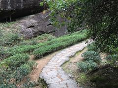 景点-武夷山风景名胜区-虎啸岩