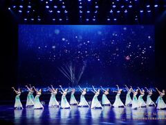 -红舞鞋舞蹈教育(近江校区)