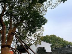 -上海醉白池公园
