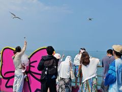 -海驴岛(荣成市)