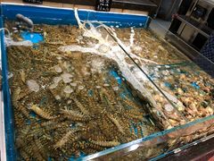 -远大购物中心(南岗店)