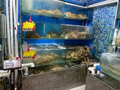 水产区-蚝专家(北滘店)