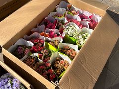-宝鸡东道花鸟鱼虫市场(吉利花园商场店)