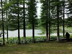 -艾溪湖湿地公园