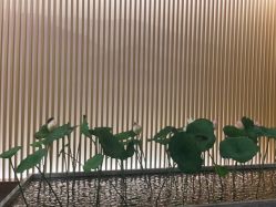 点击看大图 -圣梦亲体美肤生活馆