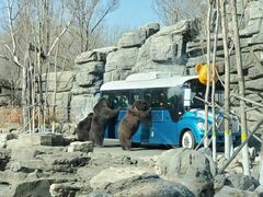 -北京野生动物园