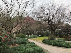 -山外山菜馆(玉泉路店)