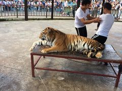 -贵州森林野生动物园