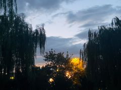 -黄村公园