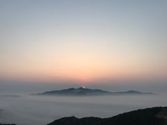 -枸杞岛