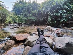 -梧桐山风景名胜区