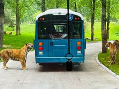 -北京野生动物园