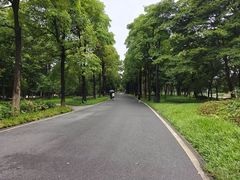 -海珠湖公园