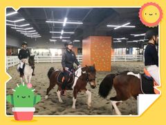 -骑乐马术(广州奥体优托邦中心)