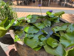 -813芭依珊 BAESAn(皇冠十畝地店)