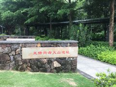 -王借岗森林公园