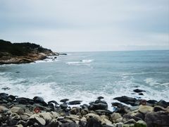 -广东惠东海龟国家级自然保护区