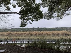 -沙家浜风景区