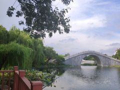 -映月湖公园