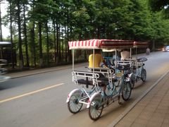 -日照海滨国家森林公园