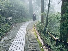 -东天目山风景区