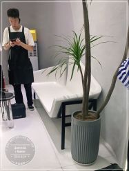 -M造型