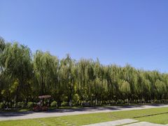 -永定河休闲森林公园