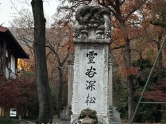 -灵谷景区