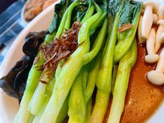 白灼菌菇菜心-新白鹿餐厅(虹桥南丰城店)
