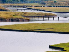 -溱湖国家湿地公园