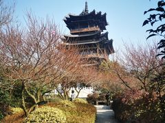 -杭州半山国家森林公园