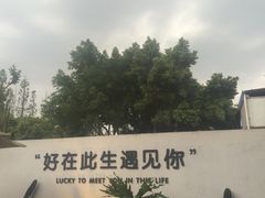 -云里小坐·小院里·团建·宴请·下午茶(三圣乡店)