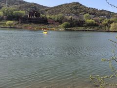 -藏猫猫咖啡主题馆(中央大道店)