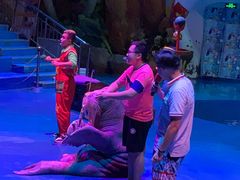 -烟台海昌鲸鲨海洋公园