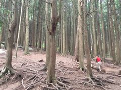 -含鄱口
